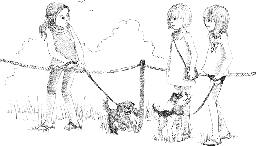 Щенок Сид, или Лучший трюк - i_031.png