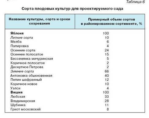 Как вырастить саженцы - pic_10.jpg