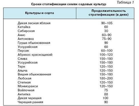 Как вырастить саженцы - pic_2.jpg