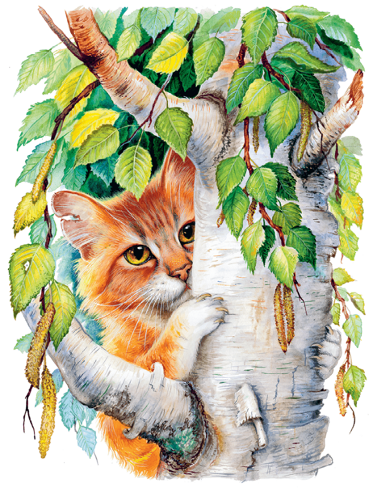 Кот-ворюга и другие рассказы о животных - i_007.png