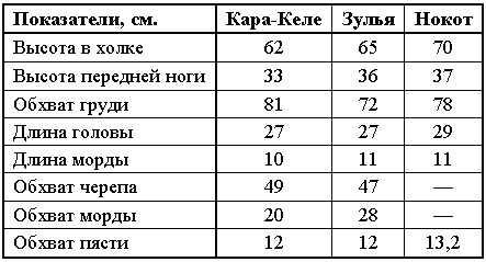 Отечественные породы служебных собак азиатского происхождения - i_010.png