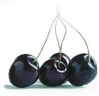 Черешня - i_020.jpg