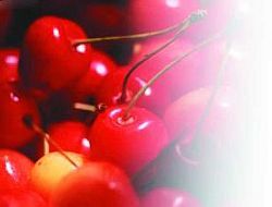 Черешня - i_023.jpg