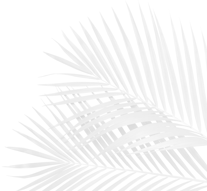 Жены убийц и их тайная жизнь - i_001.png