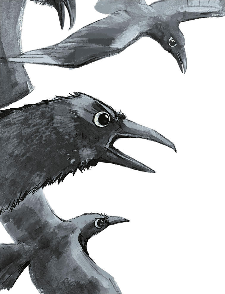 Щенок Питер и Несгрызаемая Кость - i_030.png