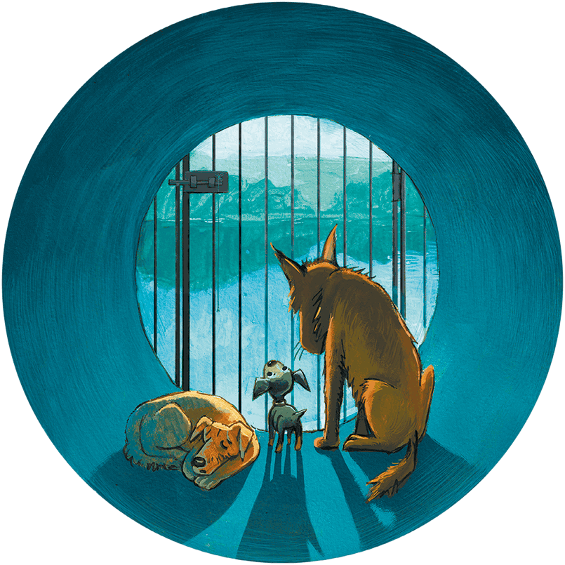 Щенок Питер и Несгрызаемая Кость - i_032.png