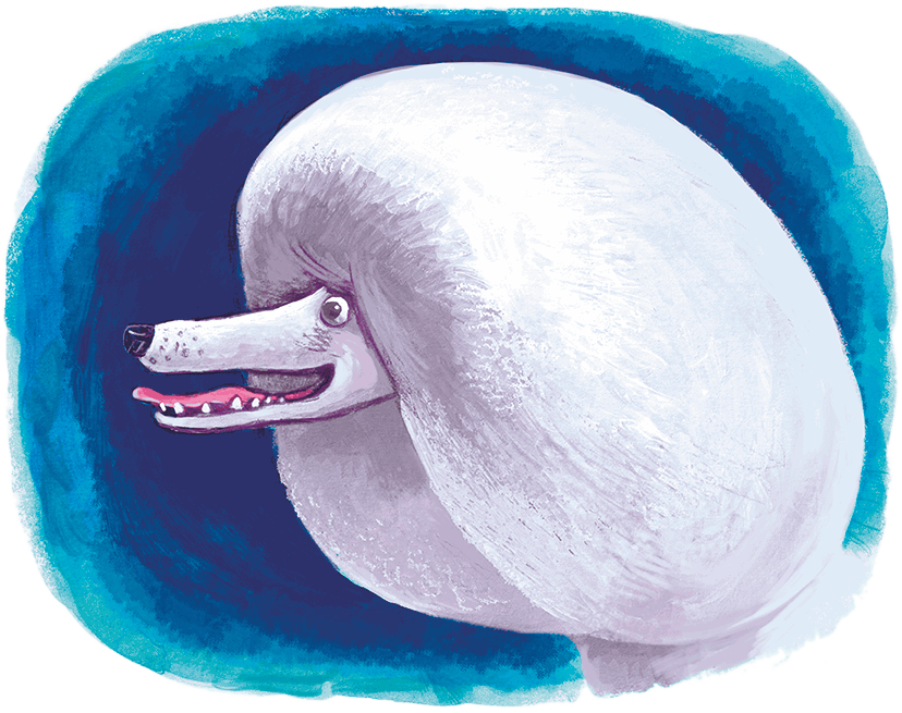 Щенок Питер и Несгрызаемая Кость - i_042.png
