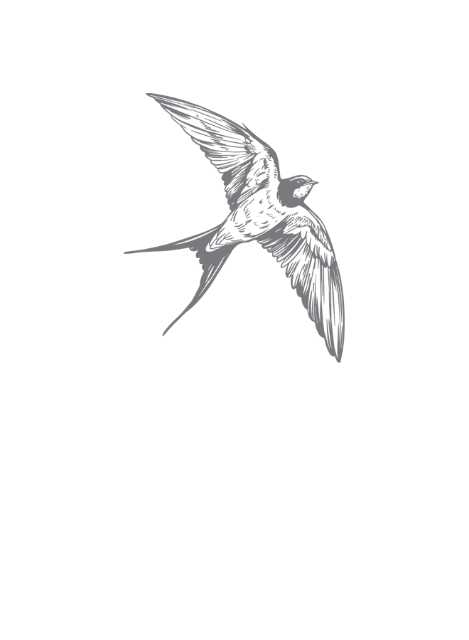 Книжный дом на Амуре - i_001.png