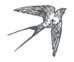 Книжный дом на Амуре - i_009.png