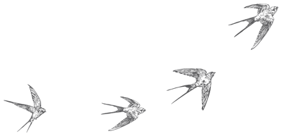 Книжный дом на Амуре - i_015.png