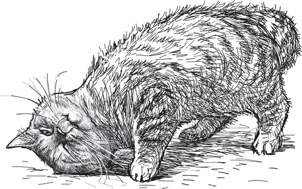 В тайге (сборник). С вопросами и ответами для почемучек - _103.jpg