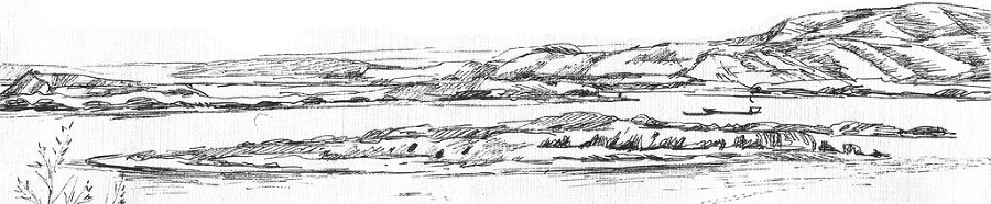 В тайге (сборник). С вопросами и ответами для почемучек - _105.jpg