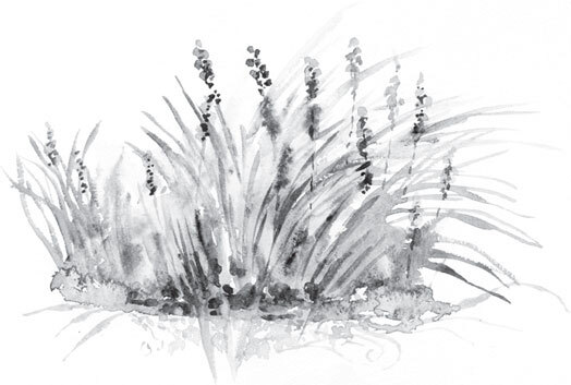 В тайге (сборник). С вопросами и ответами для почемучек - _106.jpg