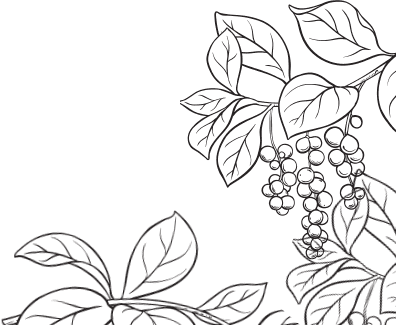 В тайге (сборник). С вопросами и ответами для почемучек - _12.png