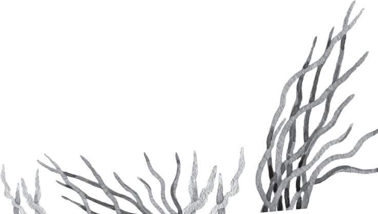 В тайге (сборник). С вопросами и ответами для почемучек - _13.jpg