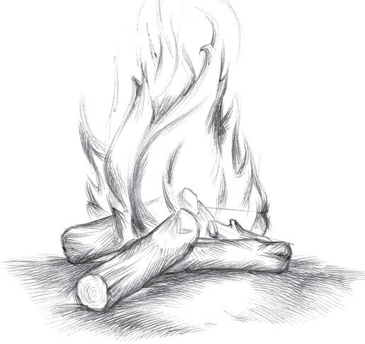 В тайге (сборник). С вопросами и ответами для почемучек - _14.jpg