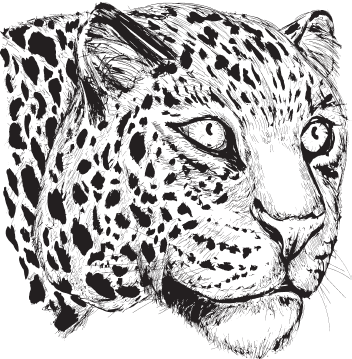 В тайге (сборник). С вопросами и ответами для почемучек - _18.png