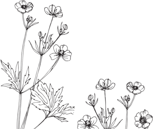 В тайге (сборник). С вопросами и ответами для почемучек - _21.png