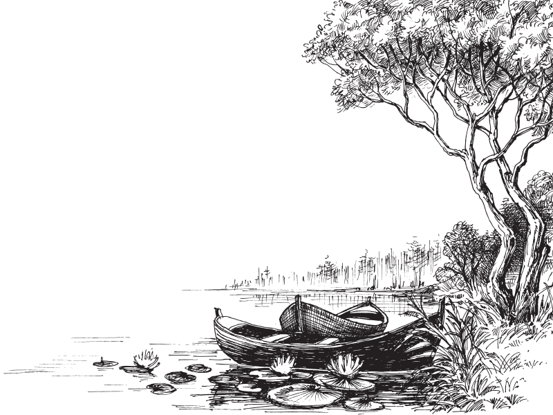 В тайге (сборник). С вопросами и ответами для почемучек - _22.png