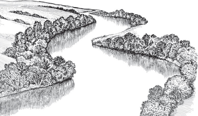 В тайге (сборник). С вопросами и ответами для почемучек - _23.jpg