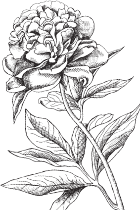 В тайге (сборник). С вопросами и ответами для почемучек - _24.png