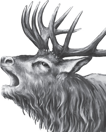 В тайге (сборник). С вопросами и ответами для почемучек - _25.jpg