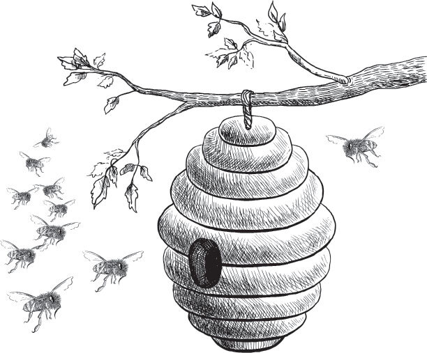 В тайге (сборник). С вопросами и ответами для почемучек - _28.jpg