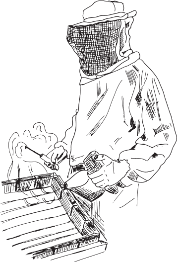 В тайге (сборник). С вопросами и ответами для почемучек - _30.png