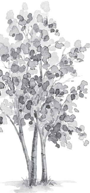 В тайге (сборник). С вопросами и ответами для почемучек - _32.jpg