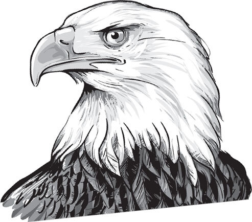 В тайге (сборник). С вопросами и ответами для почемучек - _34.jpg