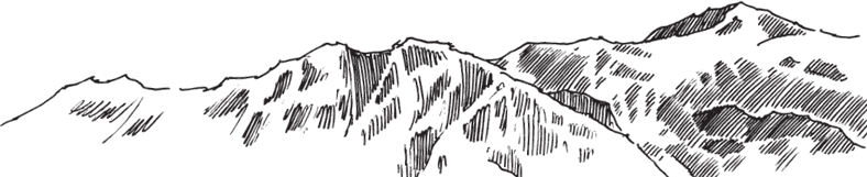 В тайге (сборник). С вопросами и ответами для почемучек - _38.png