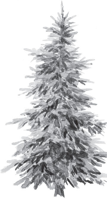 В тайге (сборник). С вопросами и ответами для почемучек - _40.jpg