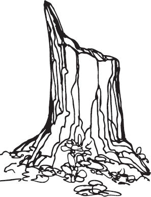 В тайге (сборник). С вопросами и ответами для почемучек - _41.png