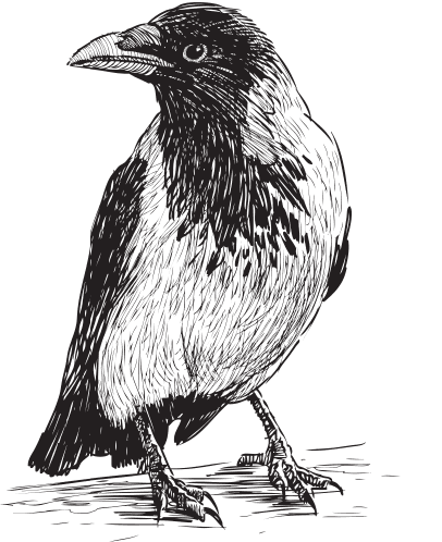 В тайге (сборник). С вопросами и ответами для почемучек - _44.png