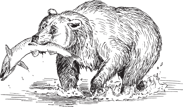 В тайге (сборник). С вопросами и ответами для почемучек - _46.png