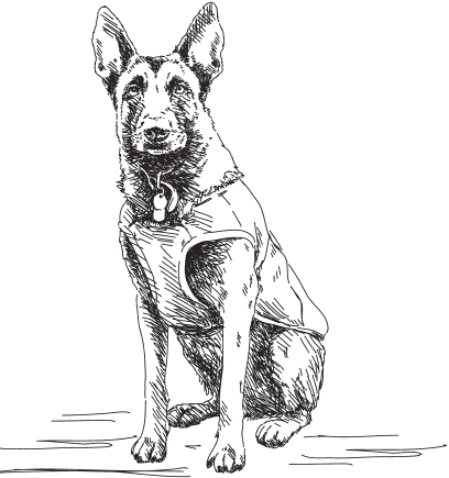 В тайге (сборник). С вопросами и ответами для почемучек - _47.png