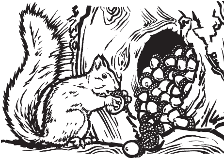 В тайге (сборник). С вопросами и ответами для почемучек - _48.png