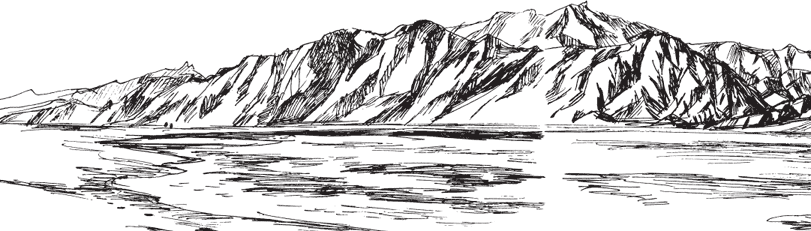 В тайге (сборник). С вопросами и ответами для почемучек - _52.png