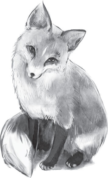 В тайге (сборник). С вопросами и ответами для почемучек - _53.jpg