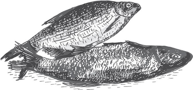 В тайге (сборник). С вопросами и ответами для почемучек - _57.jpg