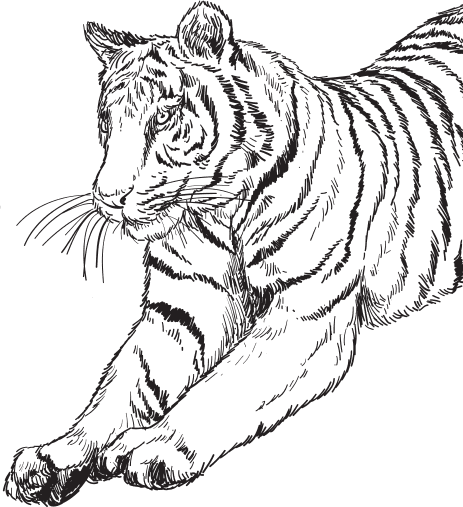 В тайге (сборник). С вопросами и ответами для почемучек - _60.png