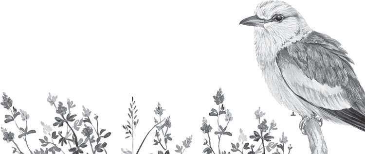 В тайге (сборник). С вопросами и ответами для почемучек - _61.jpg