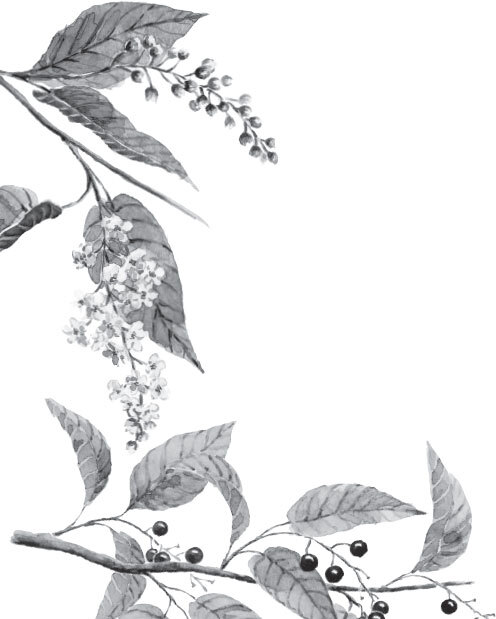 В тайге (сборник). С вопросами и ответами для почемучек - _69.jpg