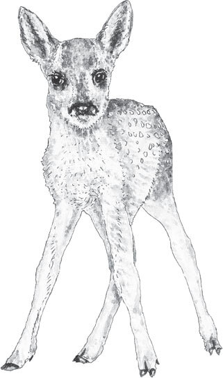 В тайге (сборник). С вопросами и ответами для почемучек - _70.jpg