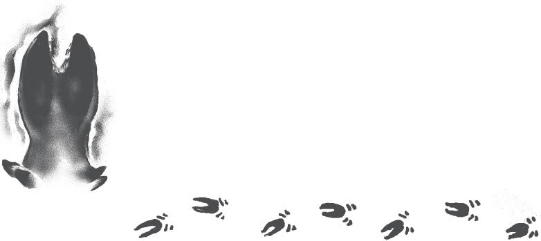 В тайге (сборник). С вопросами и ответами для почемучек - _83.jpg