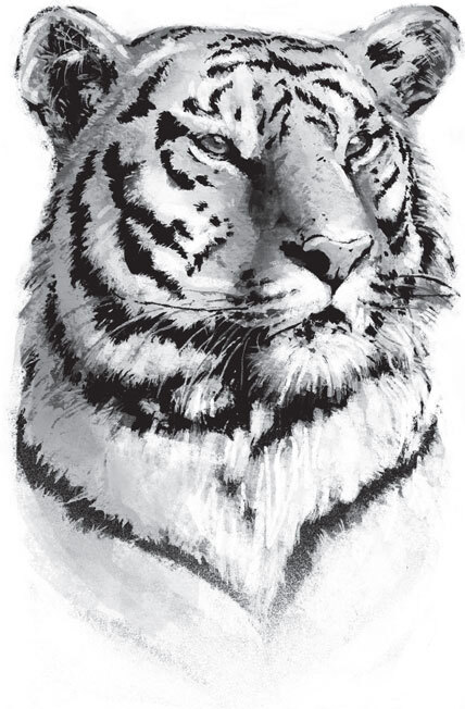 В тайге (сборник). С вопросами и ответами для почемучек - _92.jpg