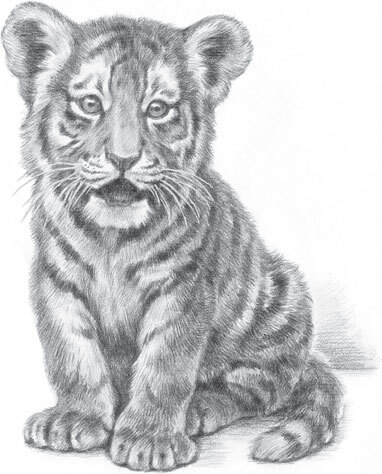 В тайге (сборник). С вопросами и ответами для почемучек - _93.jpg