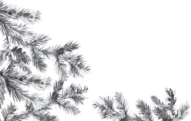 В тайге (сборник). С вопросами и ответами для почемучек - _95.jpg