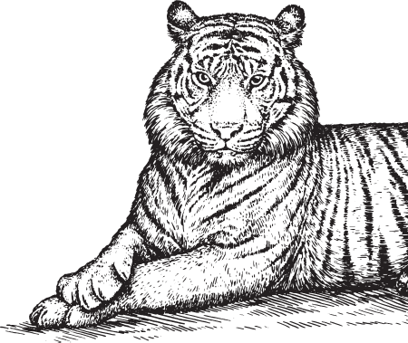 В тайге (сборник). С вопросами и ответами для почемучек - _101.png