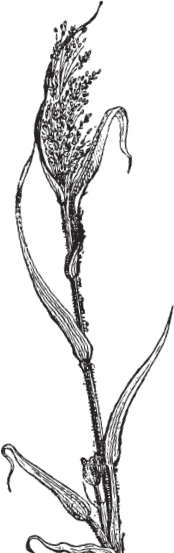 В тайге (сборник). С вопросами и ответами для почемучек - _102.png